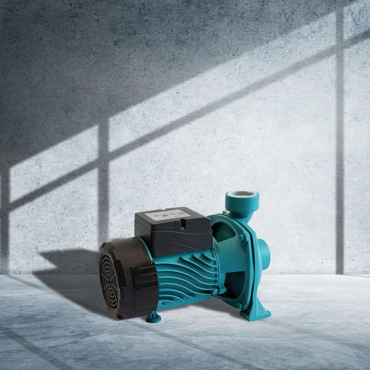 Picture of Wilson WCPC-100 Centrifugal Pump