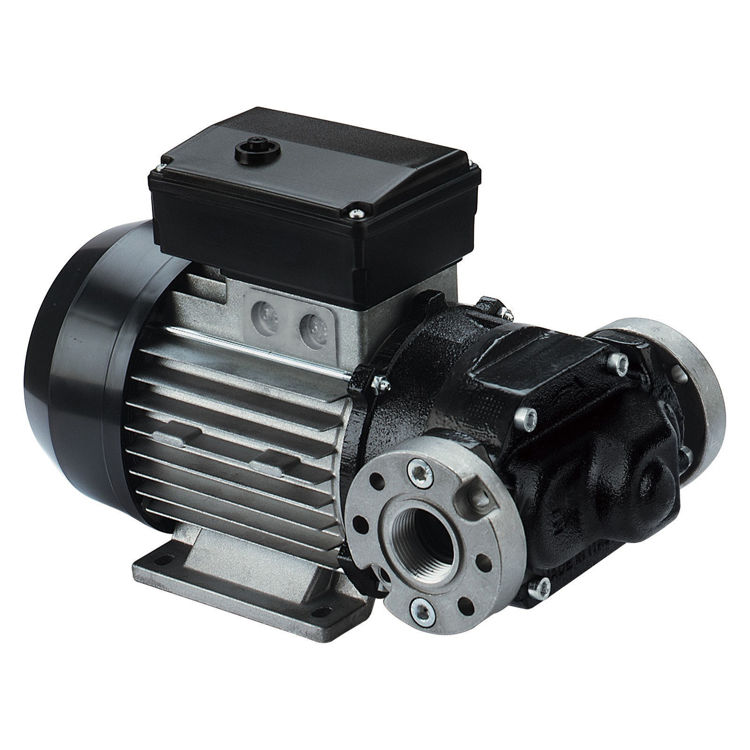Picture of Piusi E80 M Diesel Fuel Transfer Pump
