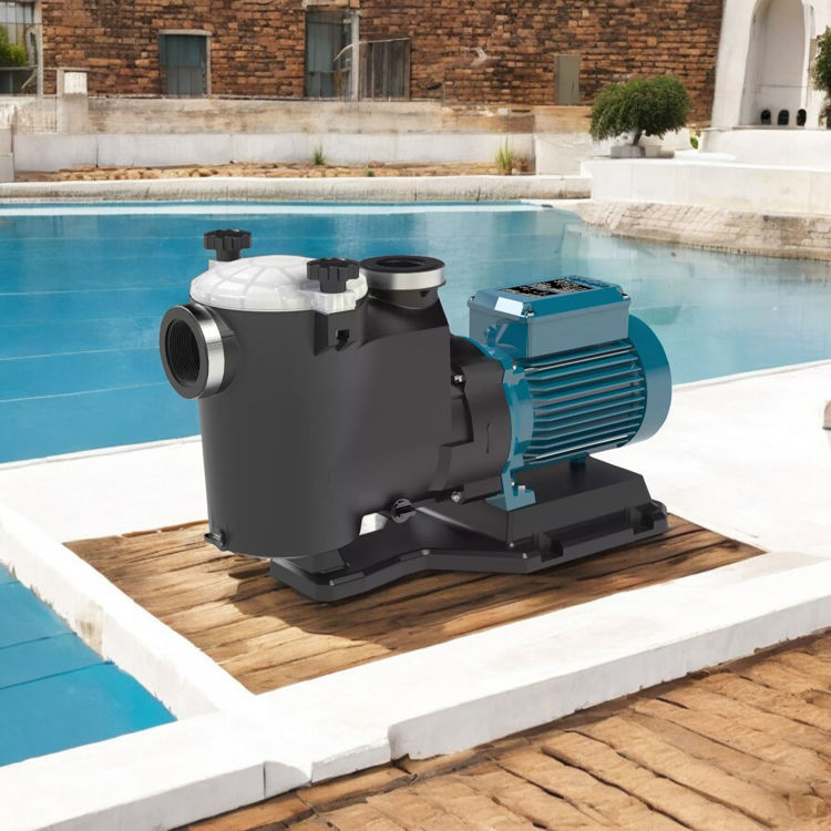 Picture of Calpeda MPCM 41 Swimming Pool Pump