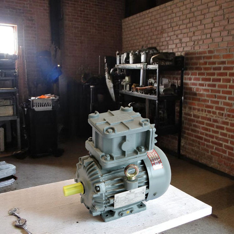 Picture of Crompton Greaves EMEEX1 4 Pole Flame Proof Electric Motor