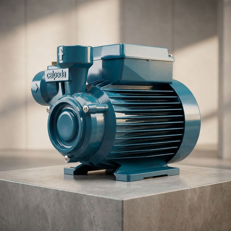 Picture of Calpeda CTM 61 Peripheral Pump