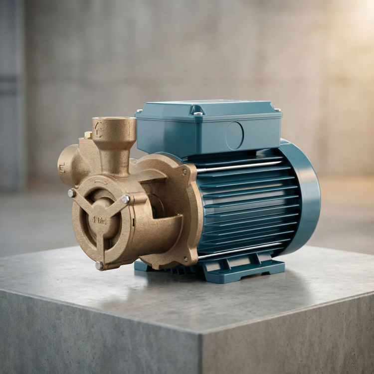 Picture of Calpeda TPM 80E Peripheral Booster Pump