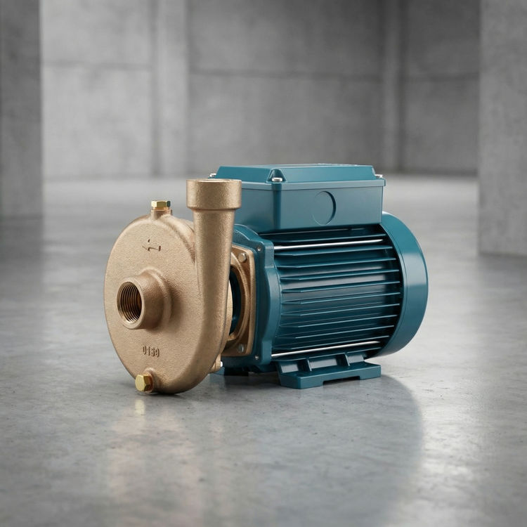 Picture of Calpeda BCM41E Close-Coupled Centrifugal Pump