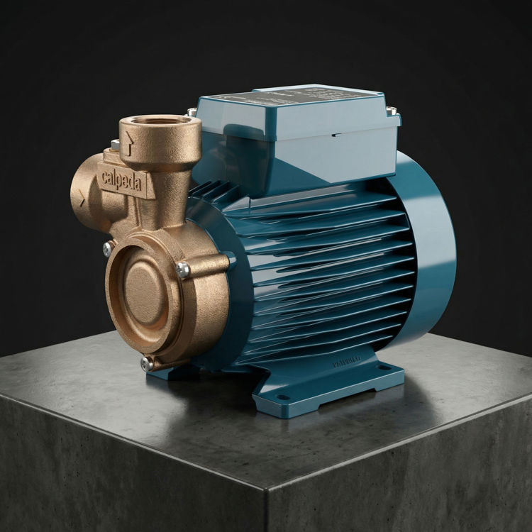 Picture of Calpeda B-CTM 61 Peripheral Pump